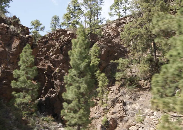 La Puerta Del Sol * Costa Adeje