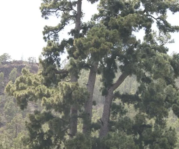 La Puerta Del Sol Tatil Evi *