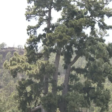 La Puerta Del Sol Nyaraló *